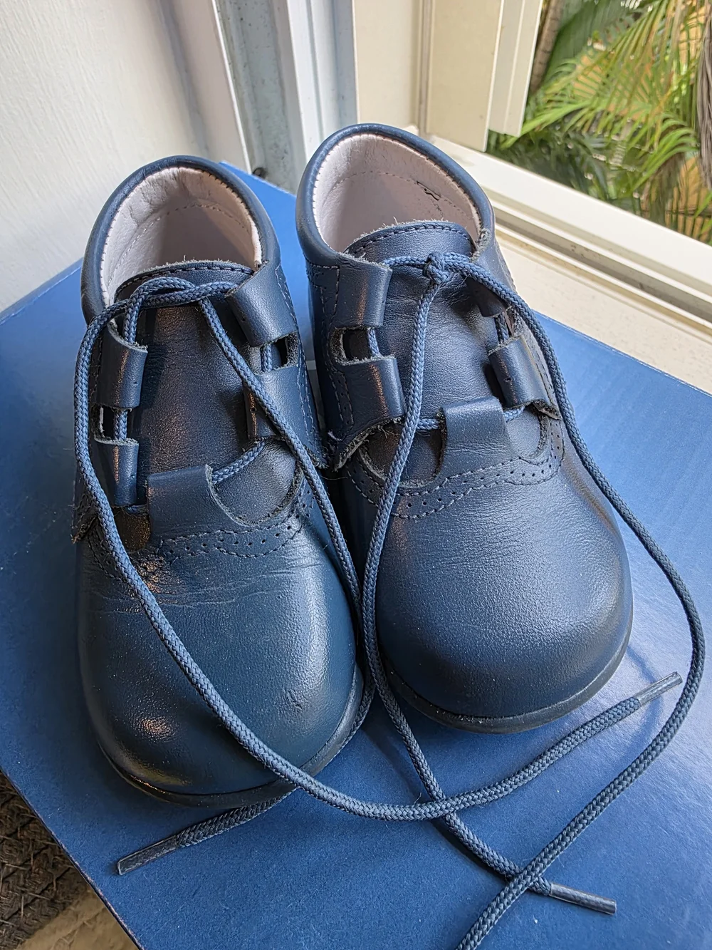 Spanish Kids Navy Blue Leather Lace-Up Shoes